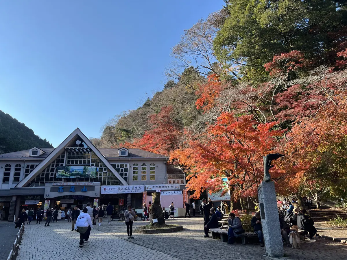 高尾山 紅葉の混雑回避ガイド｜時間帯・駐車場・ルートの全対策
