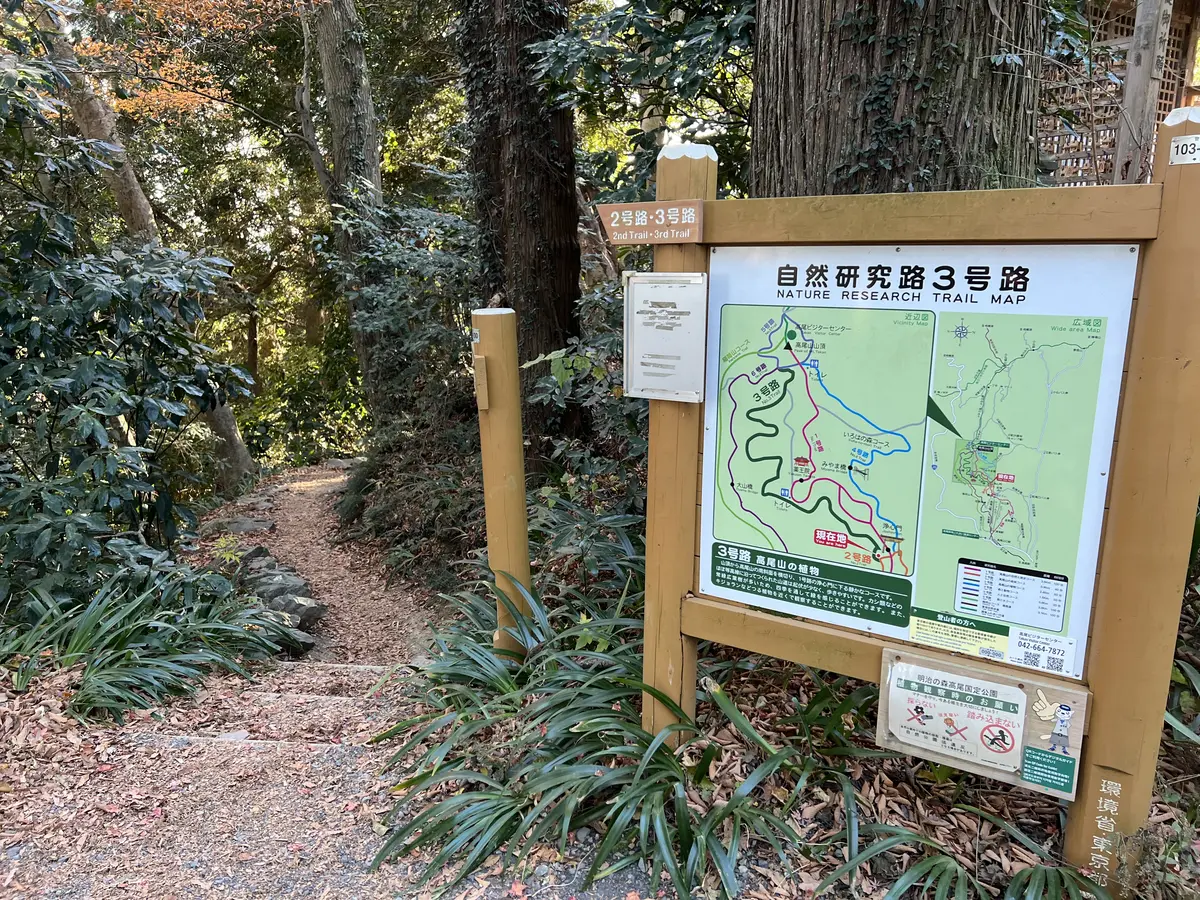 3号路へ降りる道