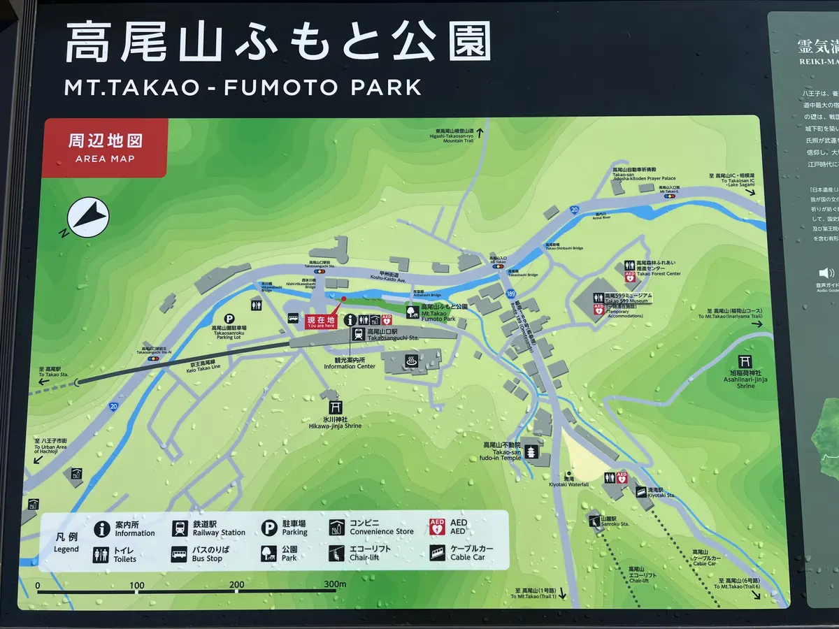 高尾山ふもと公園の全景