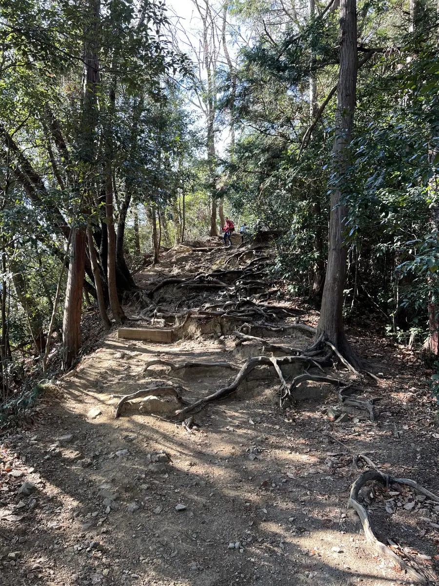 稲荷山コース
