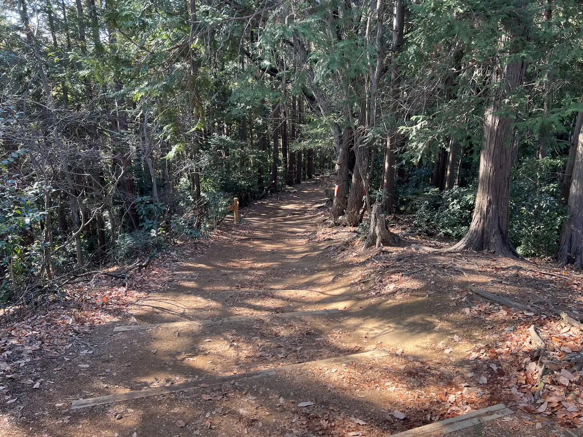 稲荷山コース