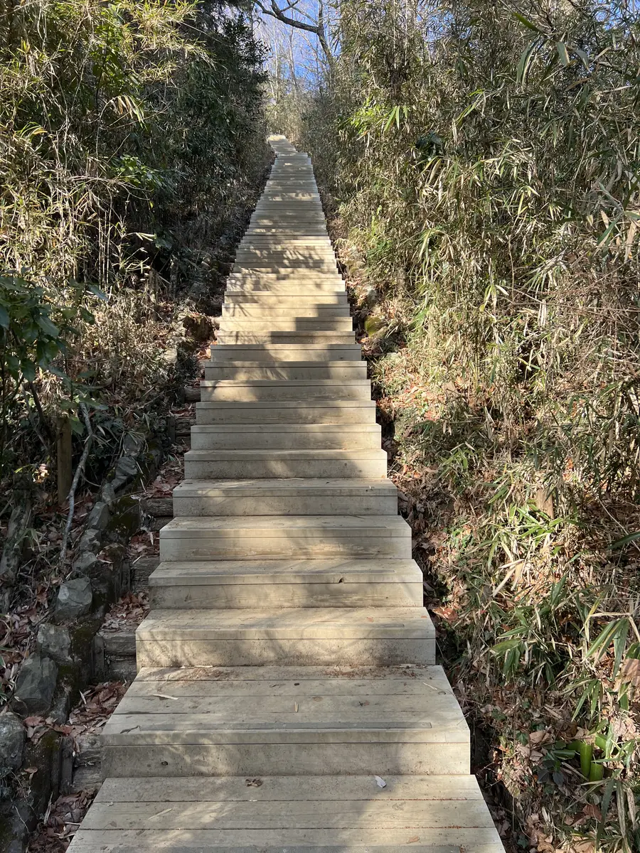 山頂手前の階段