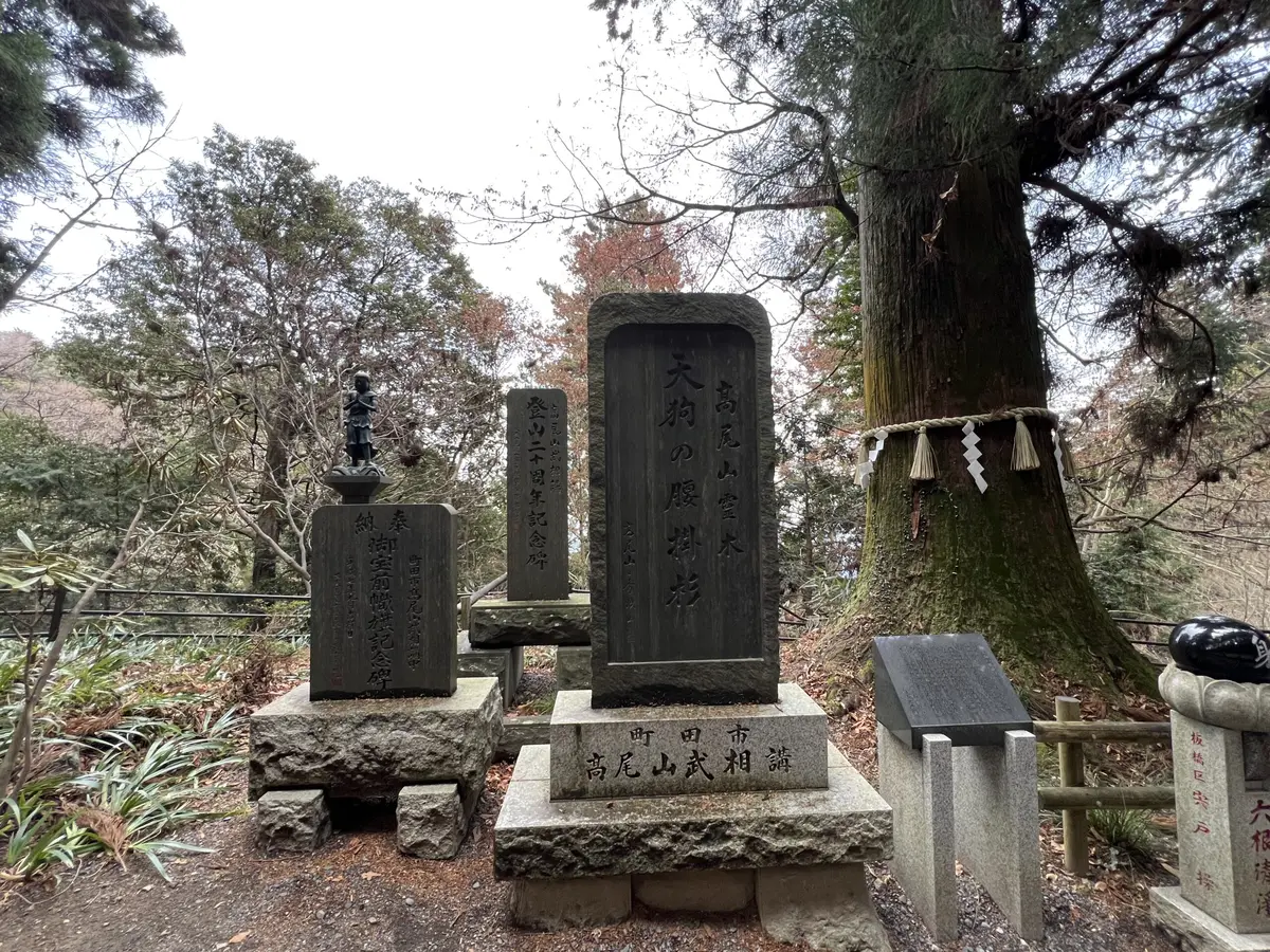 天狗の腰掛杉｜高尾山の樹齢700年・東京都天然記念物の杉と天狗伝説