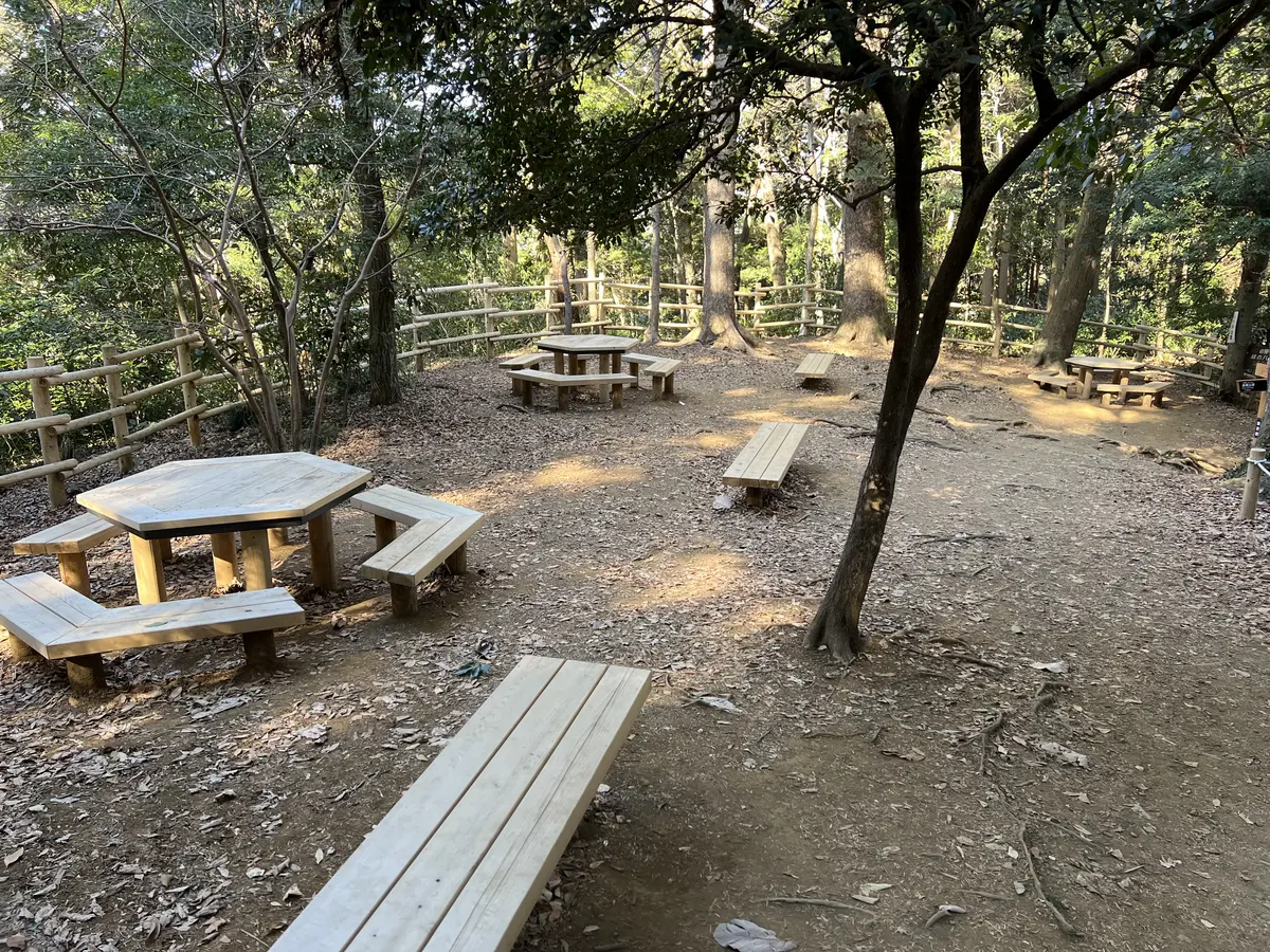 いろはの森コースとの分岐点