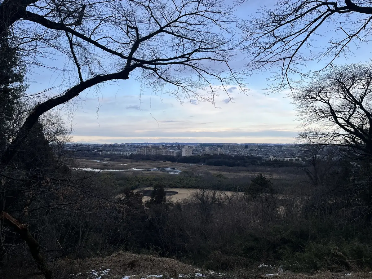滝山城跡からの景色
