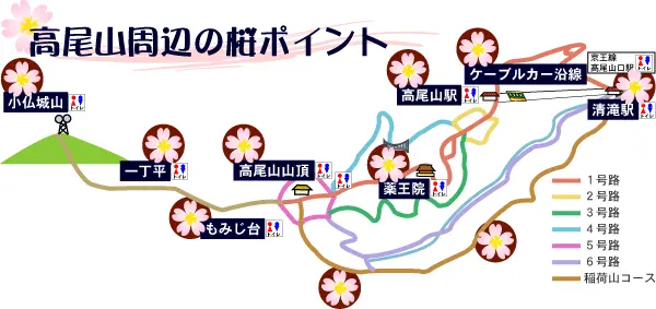 高尾山周辺の桜ポイント