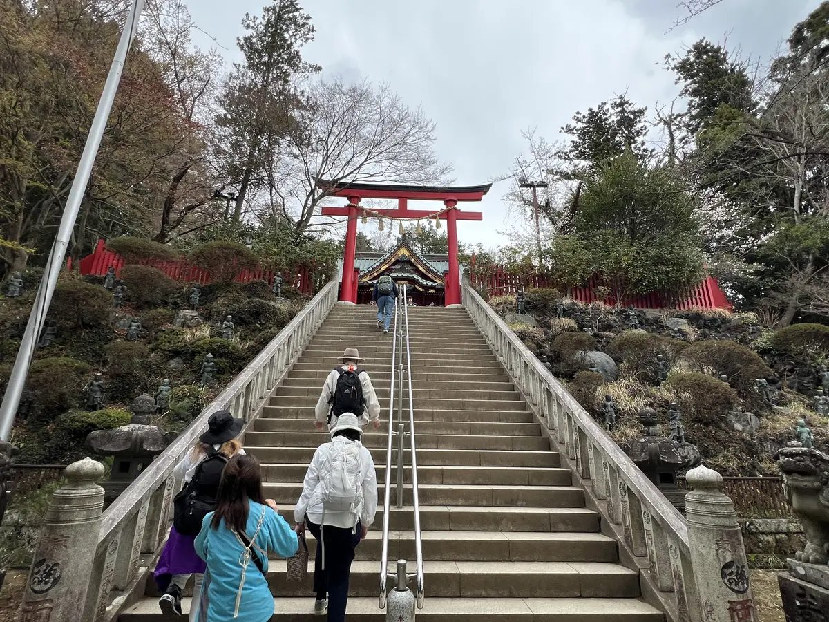 薬王院 境内の鳥居