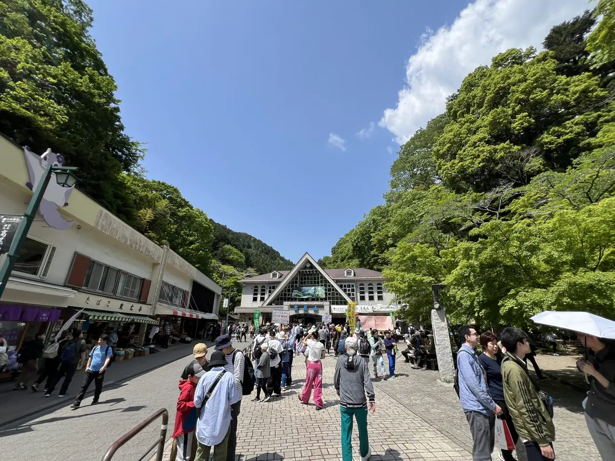 高尾山の混雑ピークはいつ？時期・曜日・時間帯の空いてる時間を狙う裏ワザ