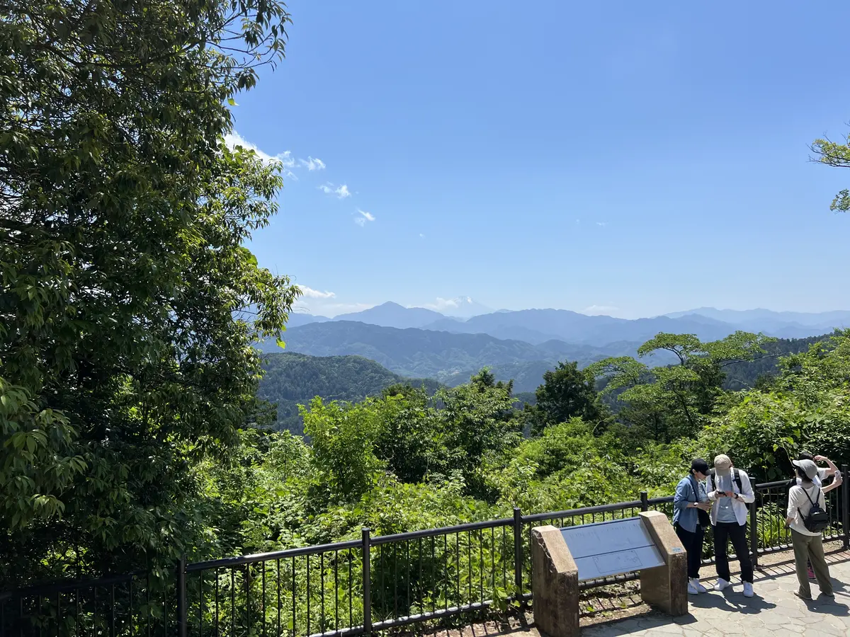 高尾山の標高 599m 完全ガイド｜登山コース別標高差と体験のポイント