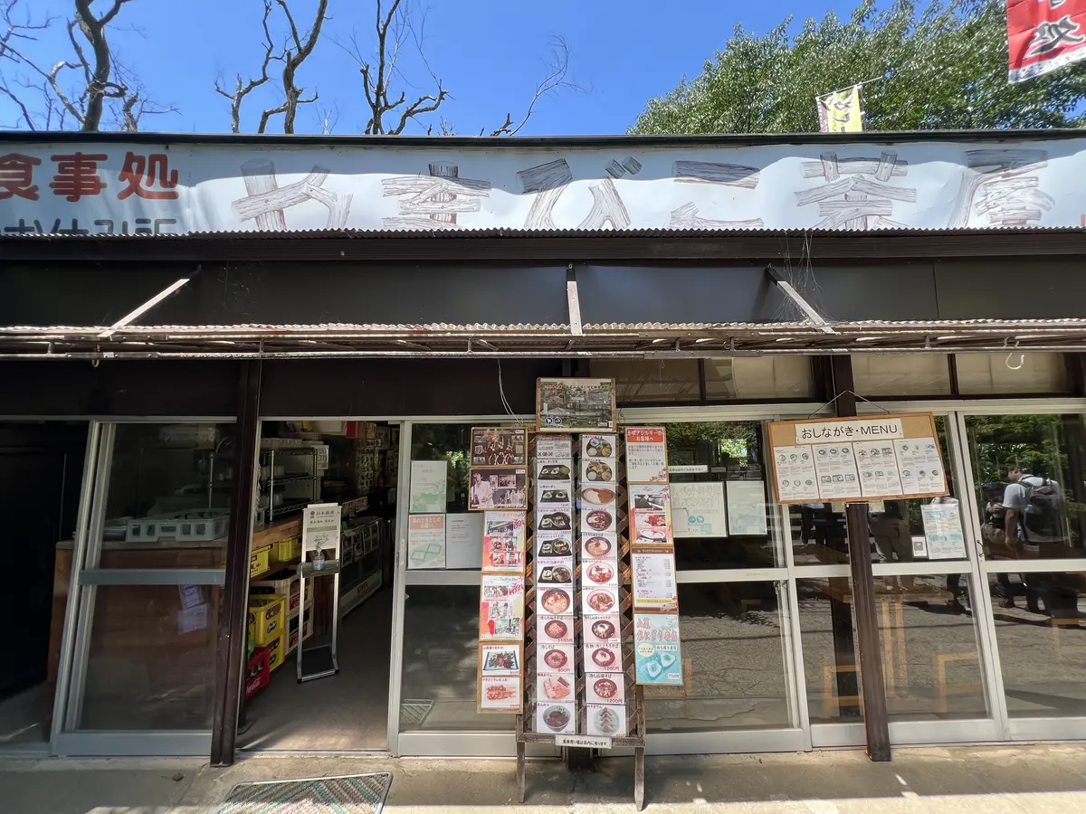 やまびこ茶屋の山菜とろろそば