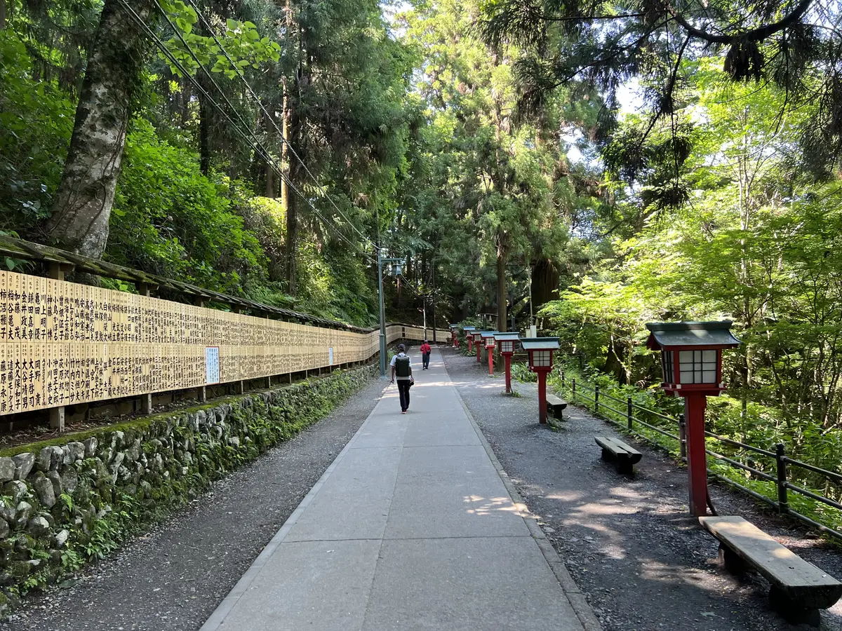 新緑の1号路