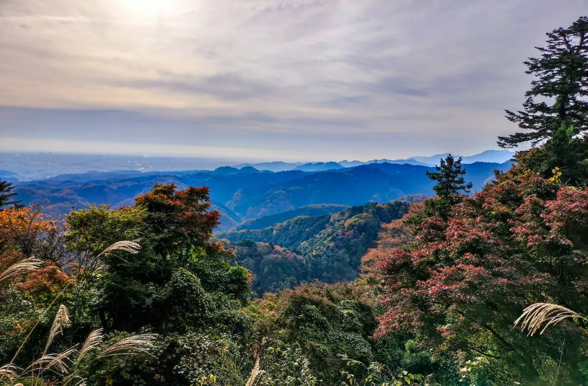 高尾山の天気 完全ガイド｜リアルタイム気温・週間予報・登山指数で登山判断
