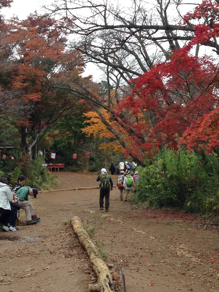 高尾山 もみじ台 完全ガイド｜山頂から徒歩約10分の紅葉名所・アクセス