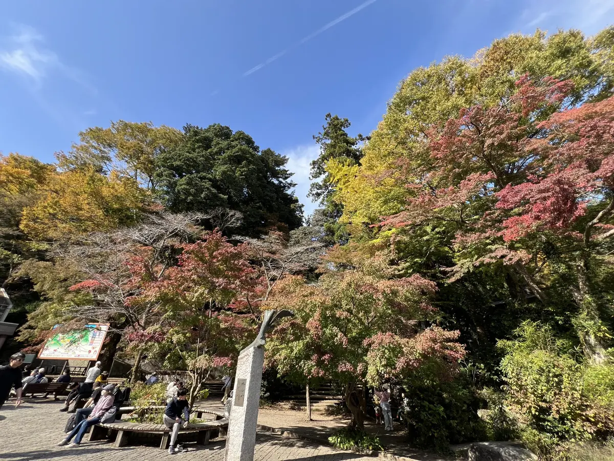 高尾山の見どころ完全ガイド｜王道BEST7とパワースポット・グルメ・絶景を徹底解説