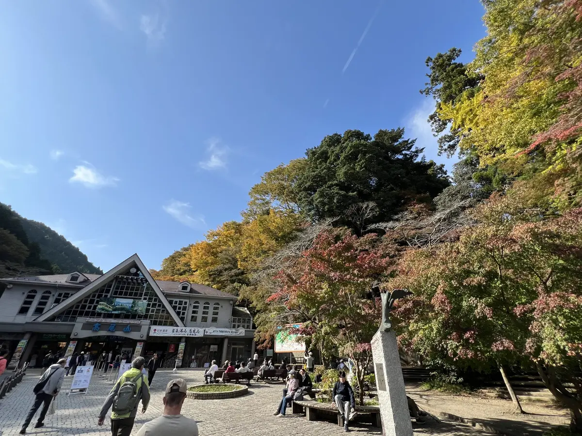 高尾山の紅葉 完全ガイド｜見頃・混雑回避・絶景スポット・コースを徹底解説